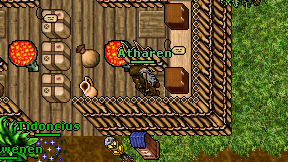 Atharen on screen