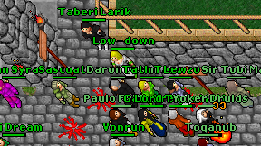 Dielas Valke on screen