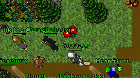 Duzy Palladyn on screen