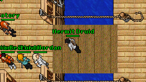 Hermit Druid on screen