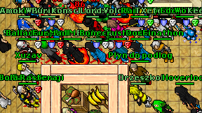 Plyn do podlog on screen