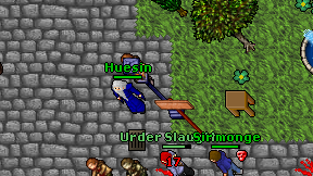 Huesin on screen