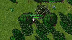 Splutter on screen