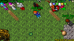 Ankula on screen