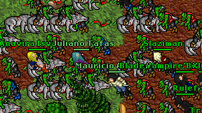 Juliano Tafas on screen