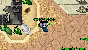 Zoom Mage on screen
