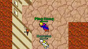 Ping Hong on screen