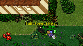 Bulletproof Head on screen