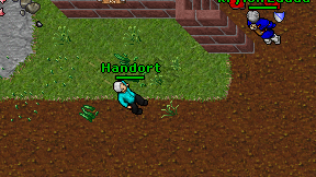 Handort on screen