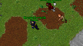 Krzych rych on screen