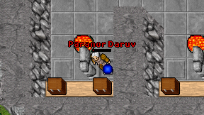 Paranor Daruv on screen
