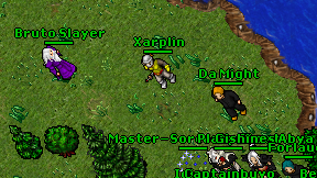 Xarplin on screen
