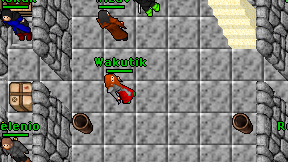 Wakutik on screen
