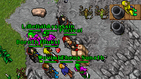 Pacival on screen