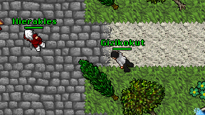 Gizikokut on screen