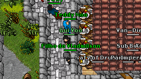Gui Voo on screen
