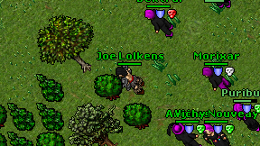 Joe Lolkens on screen