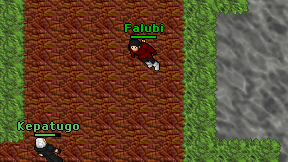 Falubi on screen