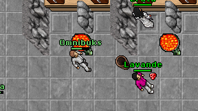 Omnibuks on screen