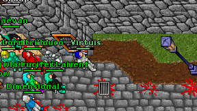 Virtuis on screen