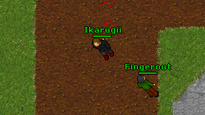 Ikarugii on screen