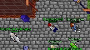 Kophoofd on screen