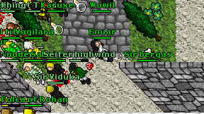 Enuar on screen