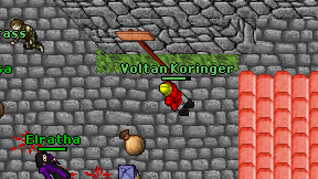 Voltan Koringer on screen