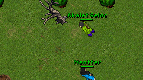 Akaiet Seloc on screen