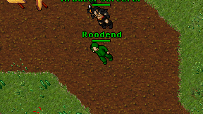 Roodend on screen