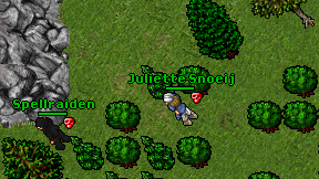 Juliette Snoeij on screen