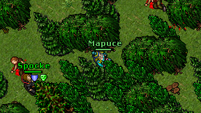 Mapuce on screen
