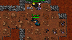 Leyr on screen