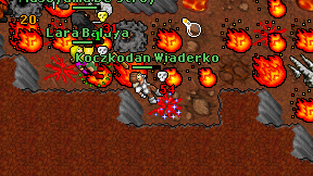 Koczkodan Wiaderko on screen