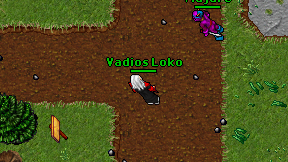 Vadios Loko on screen
