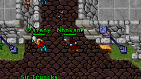 Nhokanz on screen