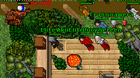 Elite Bolcor on screen