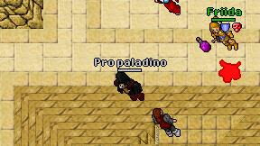 Pro paladino on screen