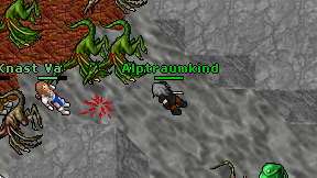 Alptraumkind on screen
