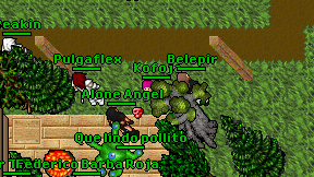 Kofoja on screen