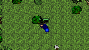 Gomir on screen