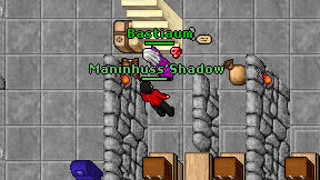 Maninhuss'Shadow on screen