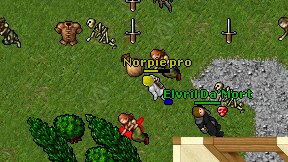 Norpie pro on screen
