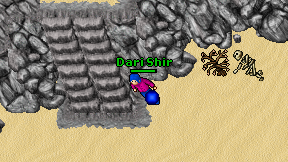 Dari Shir on screen