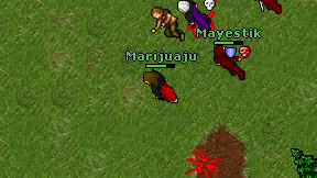 Marijuaju on screen