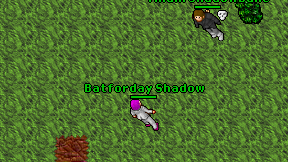 Batforday Shadow on screen