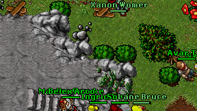 Xanon Womer on screen