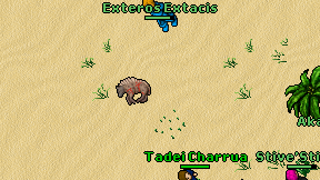 Exteros Extacis on screen