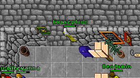 Excseption on screen