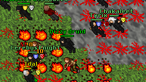 Dizzy druid on screen
